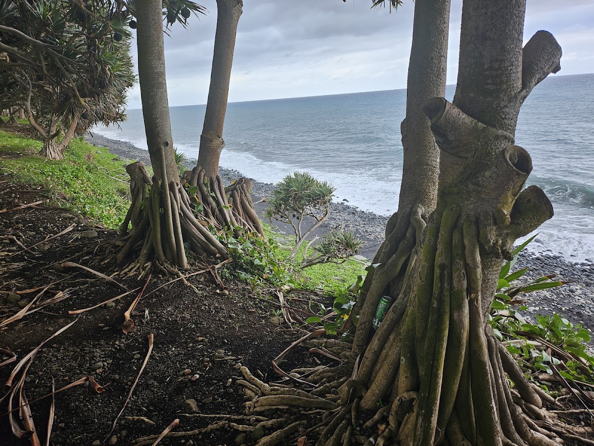 Restaurant Le Champ Borne - photo 2